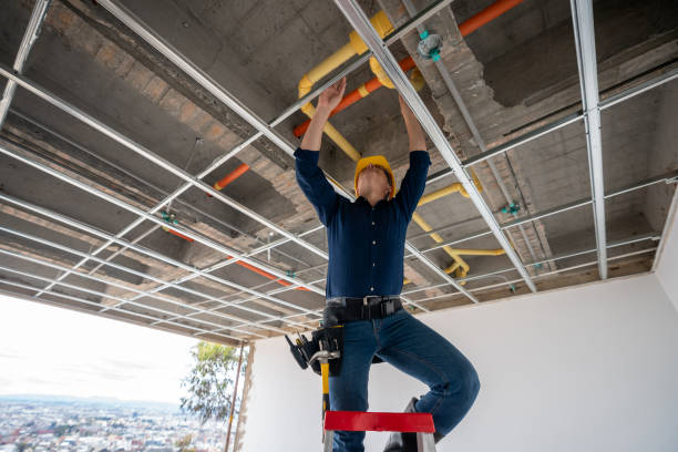 Best Best Plumbers Near Me  in Harristown, IL